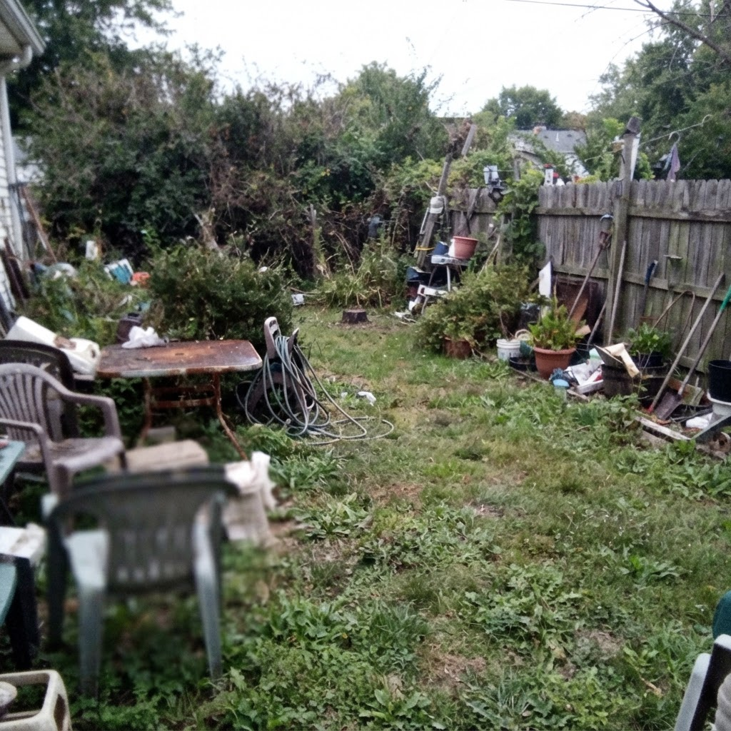 Taken from too far with clutter around it — we can't judge the size or condition of the stump.